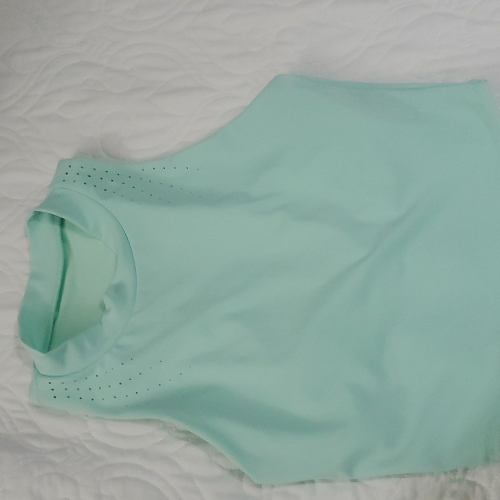 All in One brand mint crop top